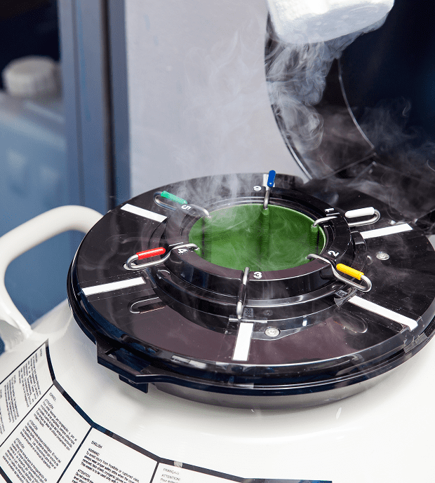 Cryogenic storage tank with visible vapor.