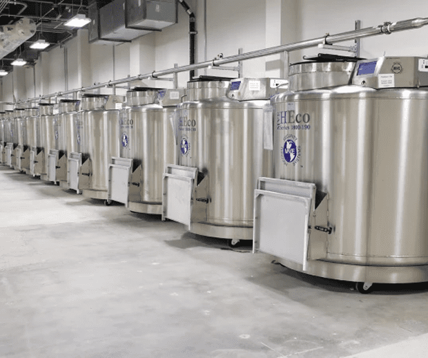 Cryogenic storage tanks lined up in facility.